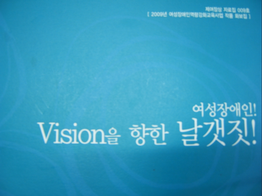 2009 여성장애인 vision을 향한 날개짓